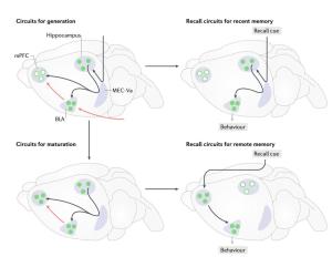 Ночи перед Рождеством 